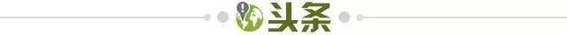 641a1a0a-53c3-467a-b20f-62da3d3be8fd.jpg@!img01